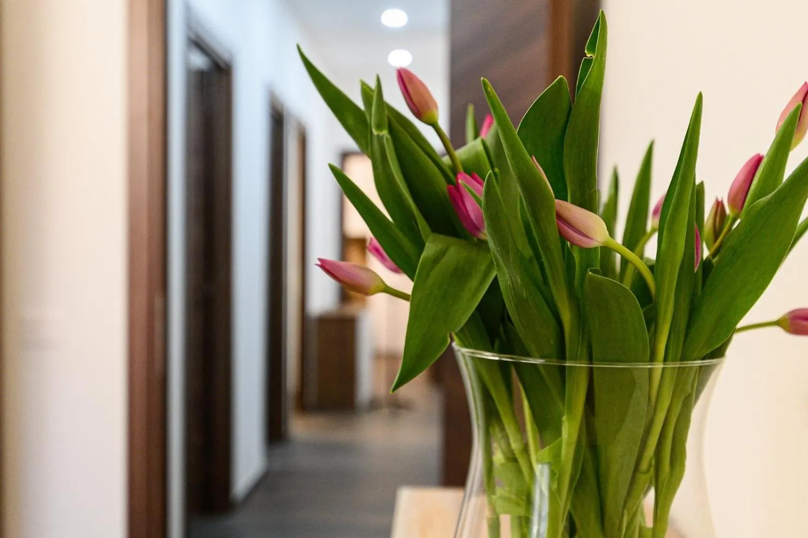 Lb Apartment Roma